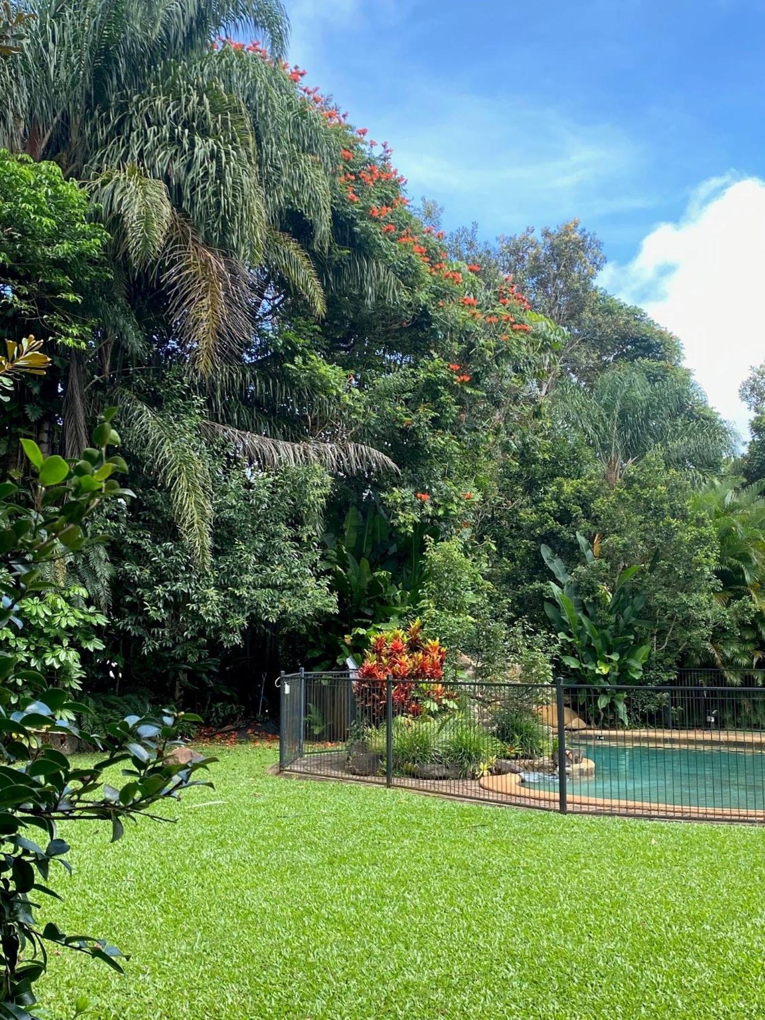 Malanda Lodge Buitenkant foto